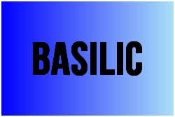 basilic.jpg